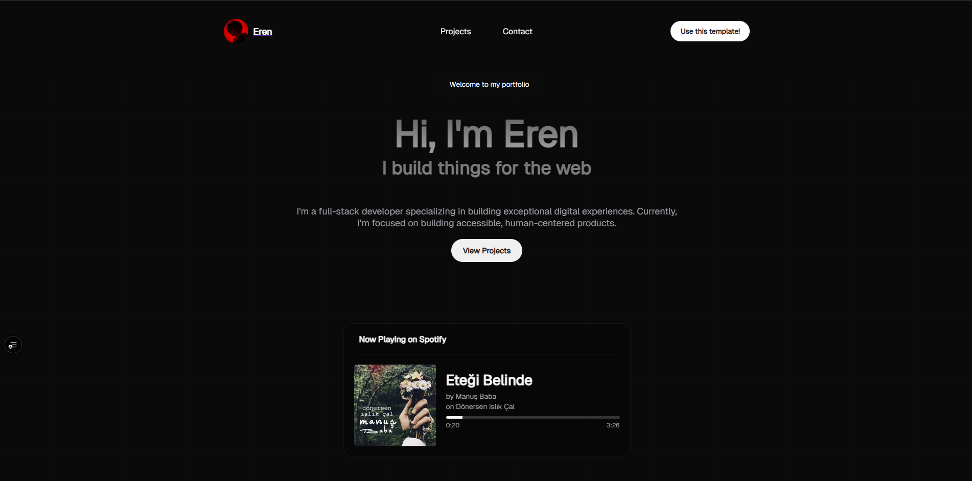 Spotify Stats Tracker Preview